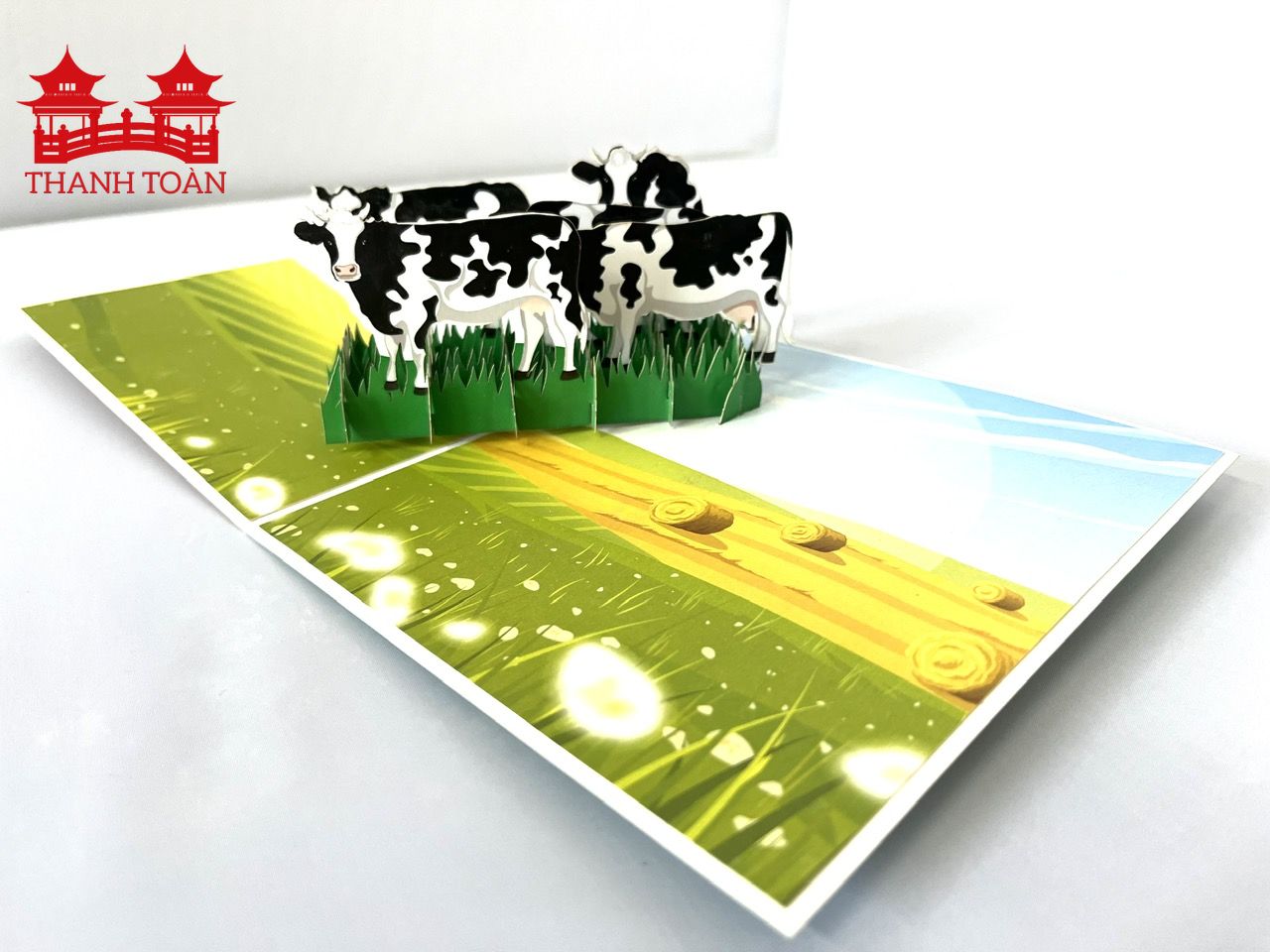 ASP26 Dairy herd 2024 (CODE SP)