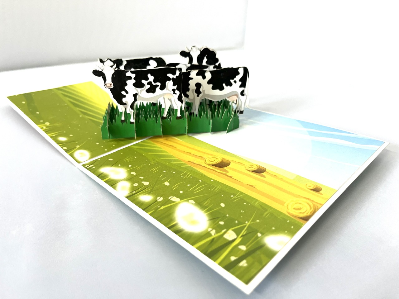 Regulations of 3D Thanh Toan