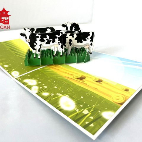 ASP26 Dairy herd 2024 (CODE SP)